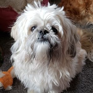 Meet your Posher, Alice